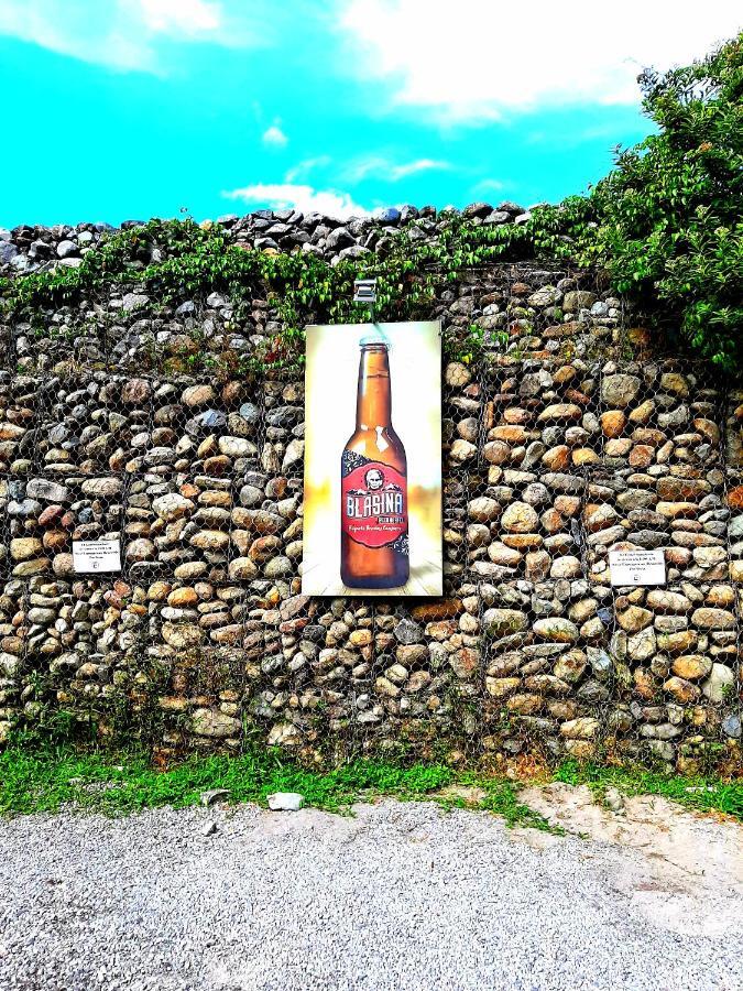 בוקט Blasina Beer Hostel מראה חיצוני תמונה