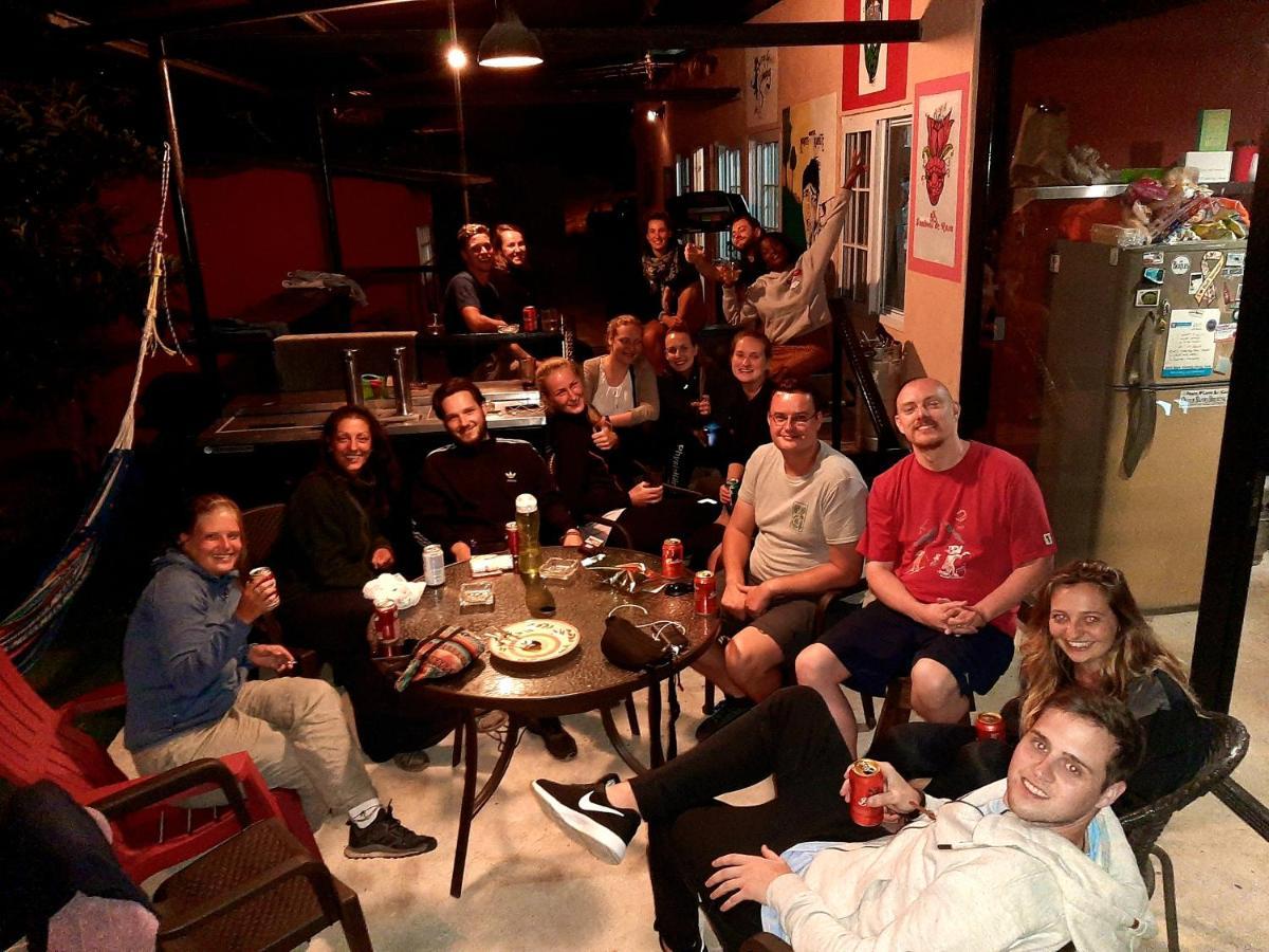 בוקט Blasina Beer Hostel מראה חיצוני תמונה